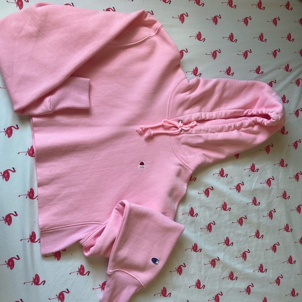 Cropped champion hoodie